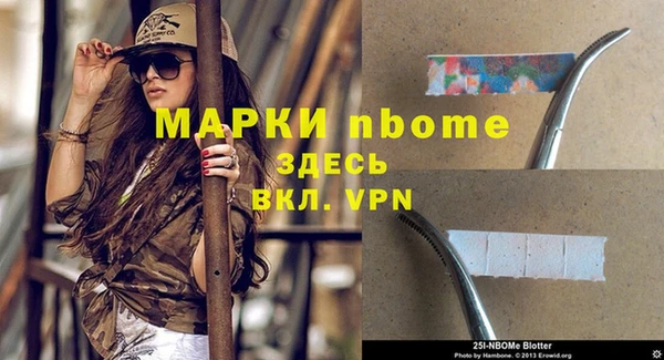 стаф Артём