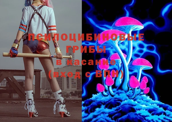 тгк Медногорск