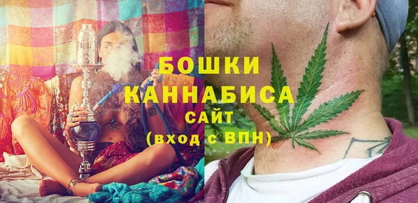 тгк Медногорск